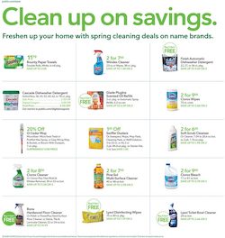 Publix Ad Spring Cleaning Deals March 2023 Cover Page